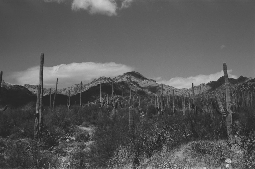 Acros II Sabino Canyon AZ March 2022