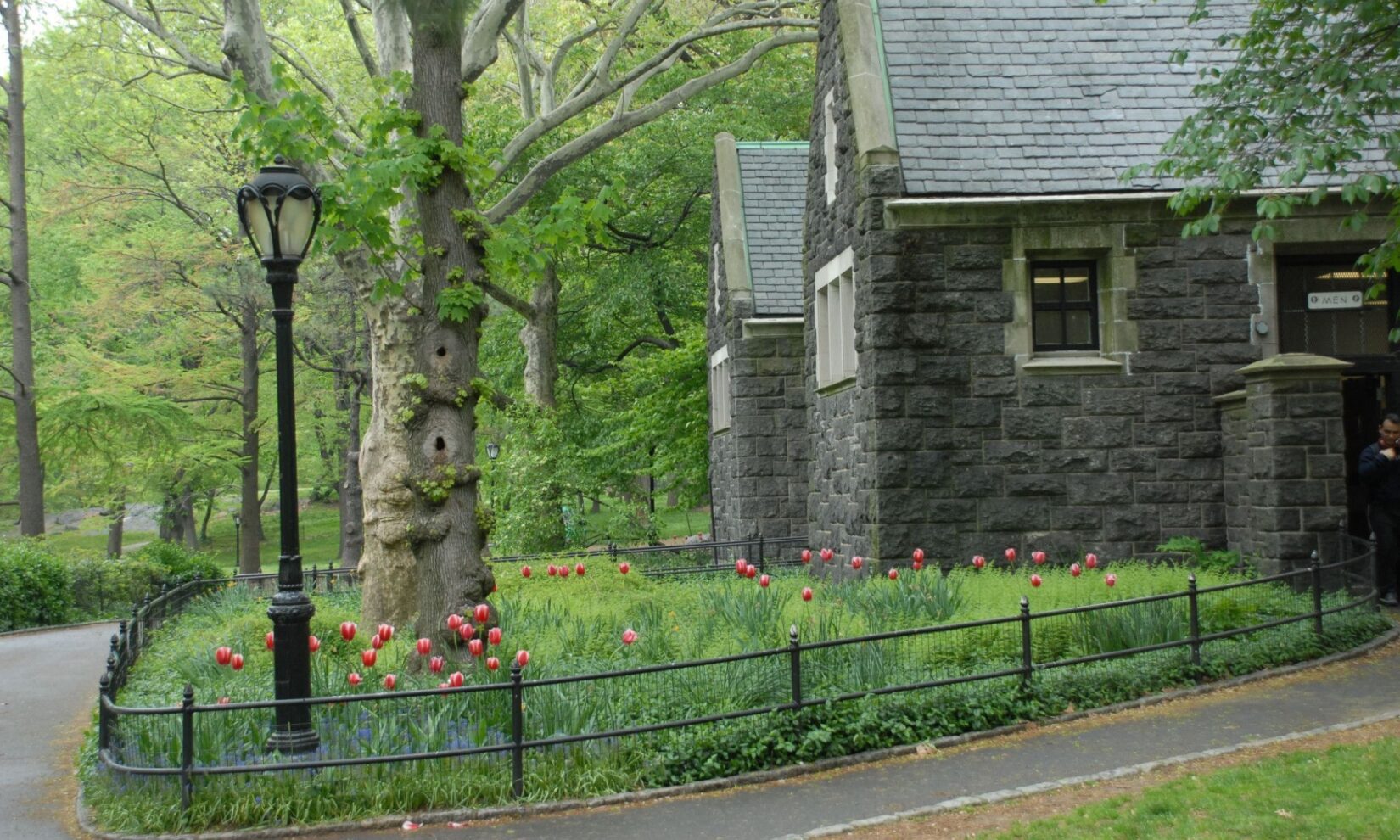 Architecture Delacorte DSC 0052