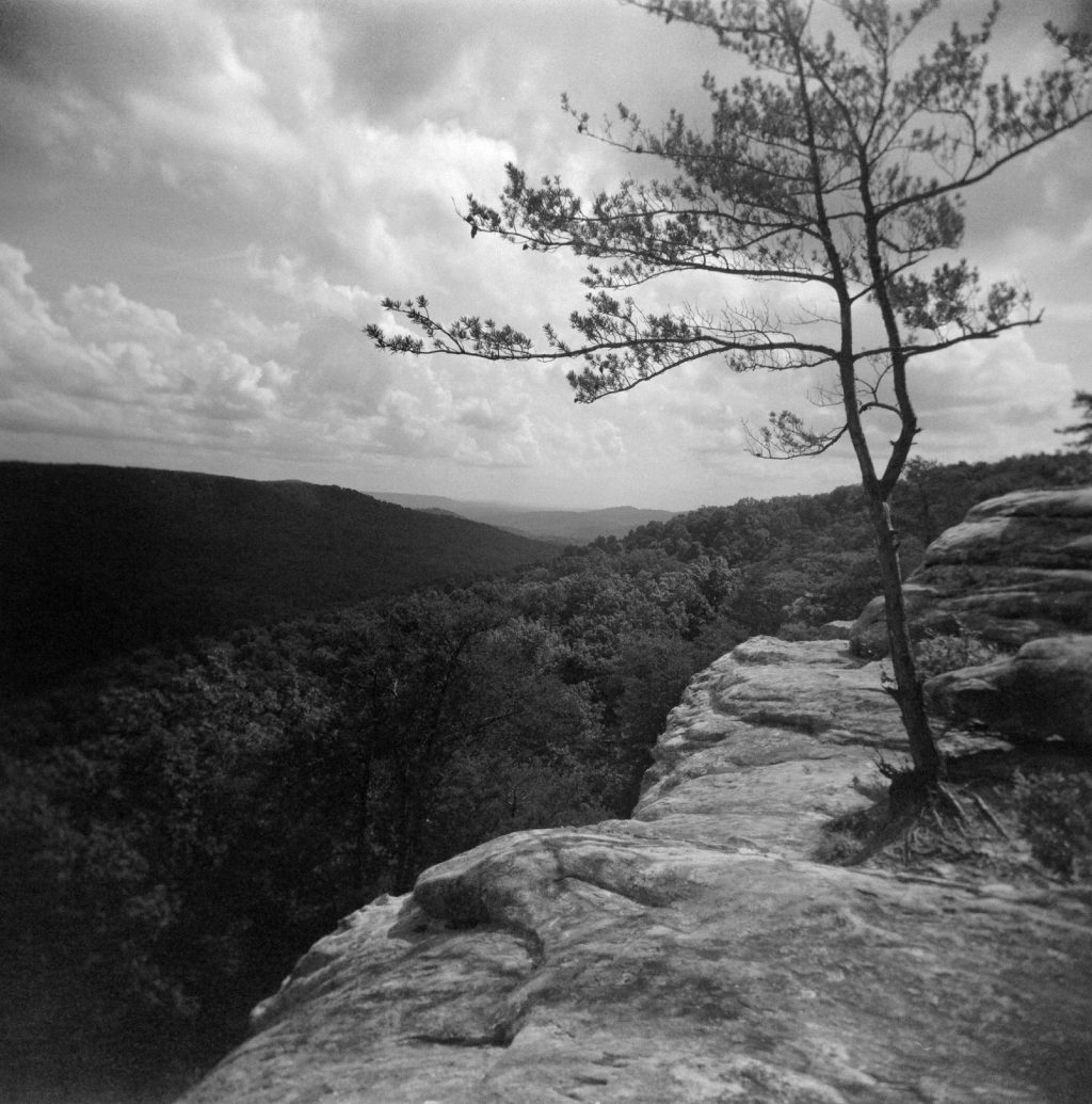 Bee Rock Overlook, shot with a Holga 120N with a red filter on Bergger Pancro 400.
