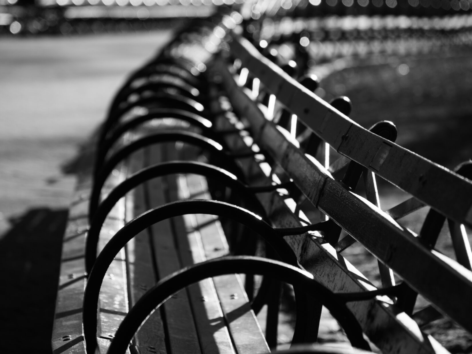 Looking down a curving row of park benches
