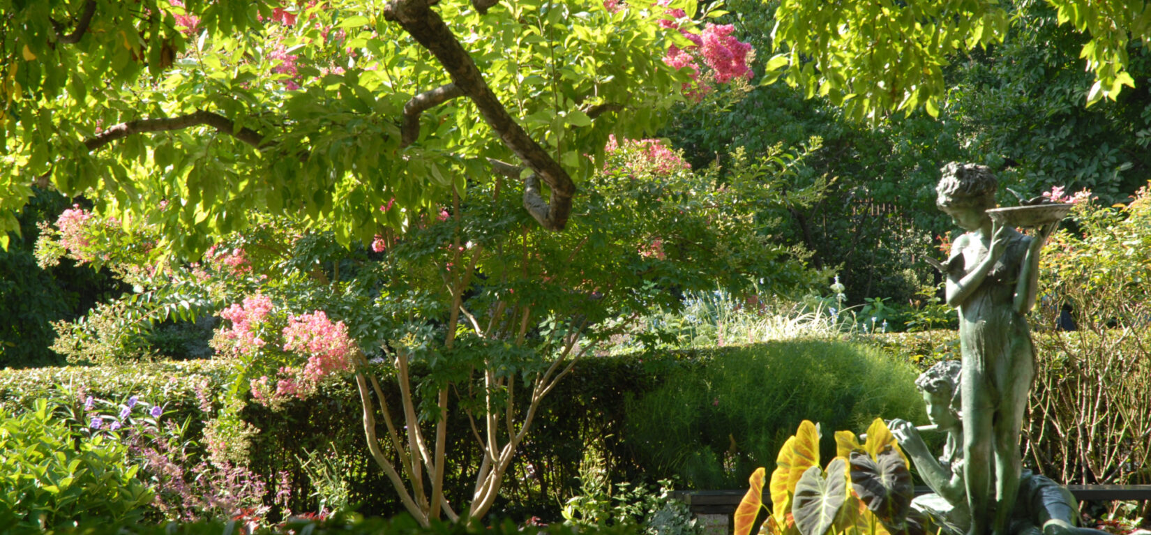 Close-up shot of the Burnett Fountain, framed by flowers.