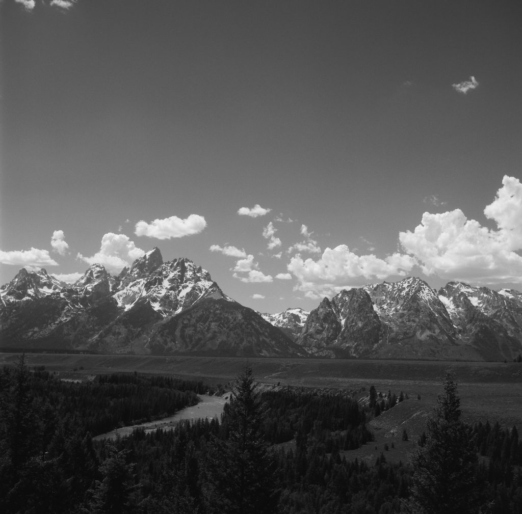 Teton summer