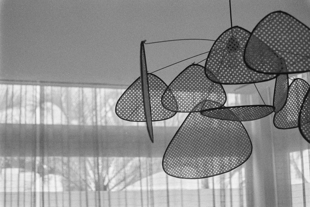 Shot at 200 ISO, not box speed. Developed in Rodinal (I'm a fan of grain but I know it's not everyone's cup of tea. Pancro is a strong grain film to start with so Rodinal isn't everyone's developer of choice for this film stock.)