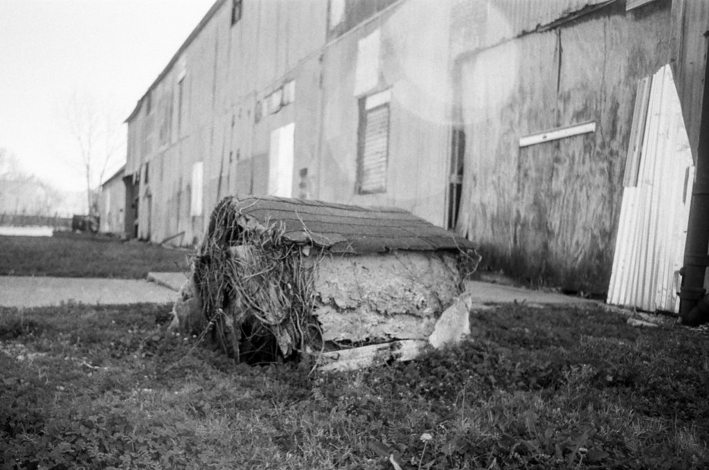 Minolta SRT 101, Rokkor 58mm f1.2, Tri-X 400