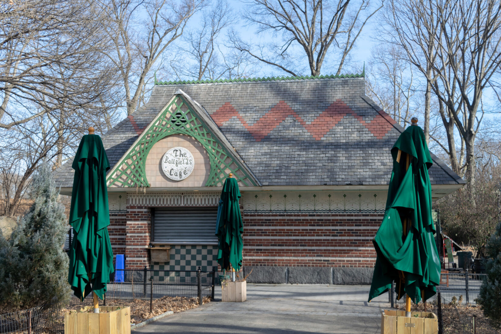 Food Options 2019