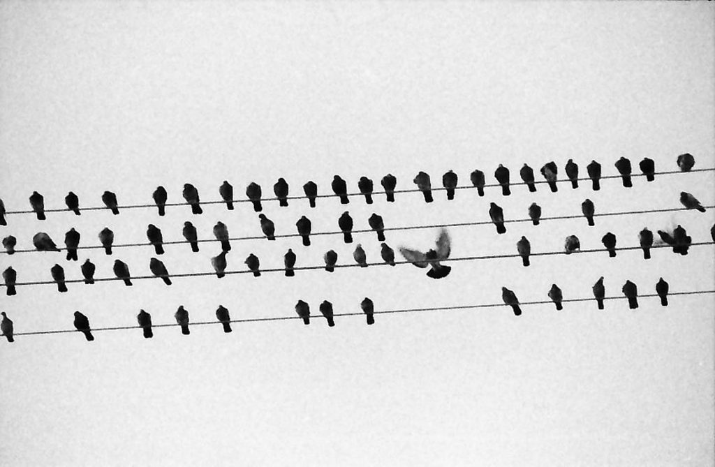 Shot with an Olympus OM-2, shot at ASA 1000.