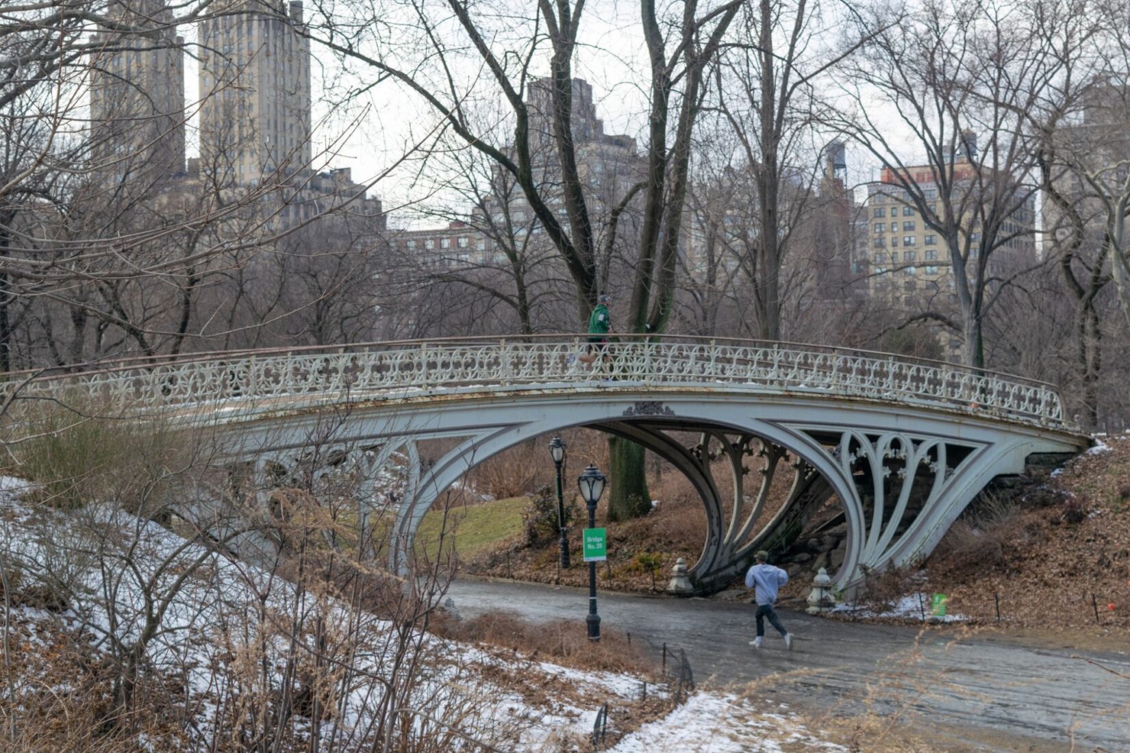 Gothic Bridge 20190221 001