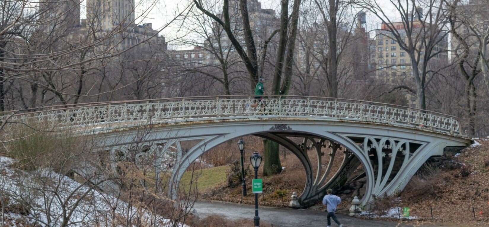 Gothic Bridge 20190221 001 jpg