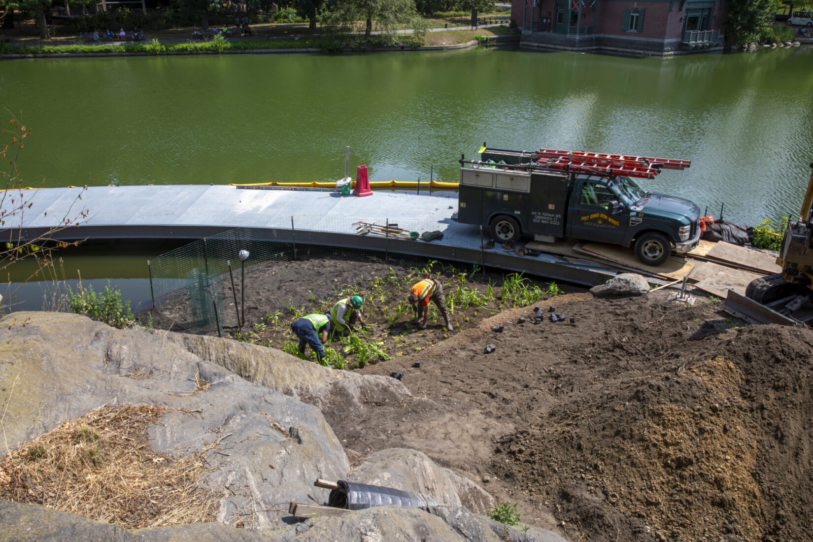 Harlem Meer Center Aquatic Planting 20240710 26