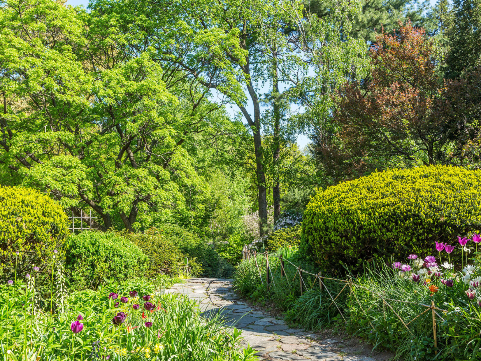 Shakespeare Garden on a sunny spring day