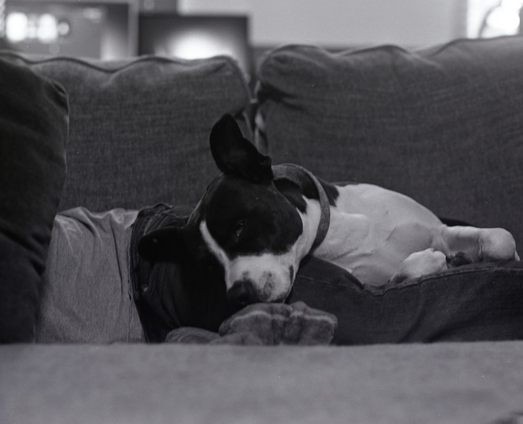 Mamiya RB67, 127mm, HP5+ 120 1yr expired