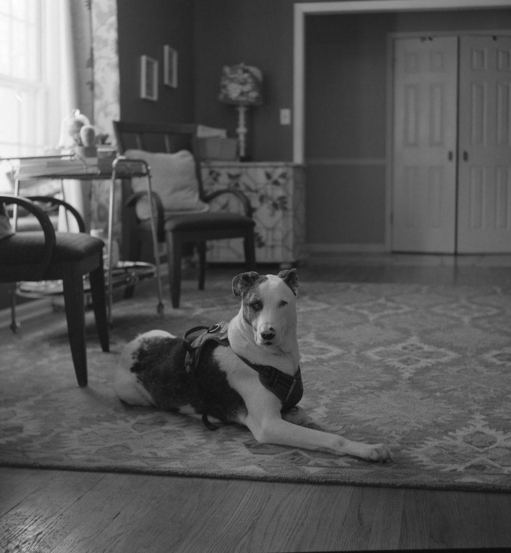 Shot with Rollieflex on Kentmere 400 120