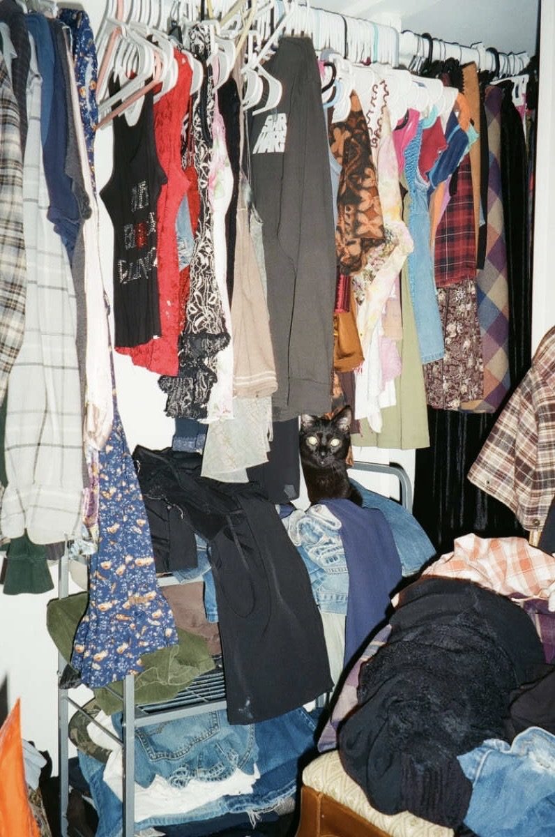 I spy with my little eye...