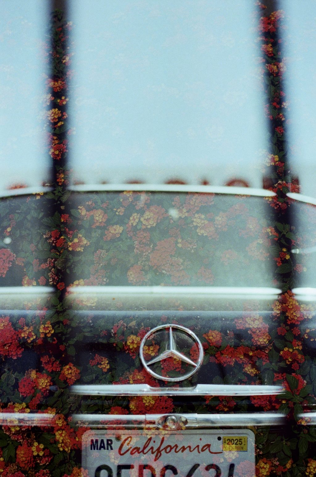 Double Exposure on Ultramax @quis_to_film93