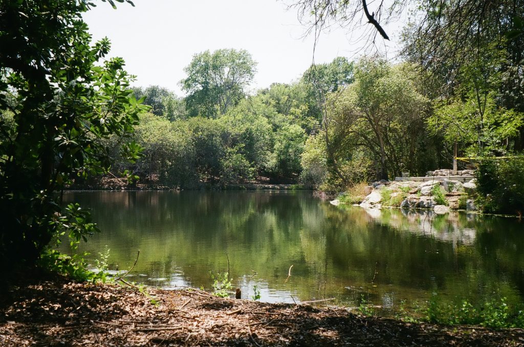 A Long Beach oasis, Olympus Superzoom70