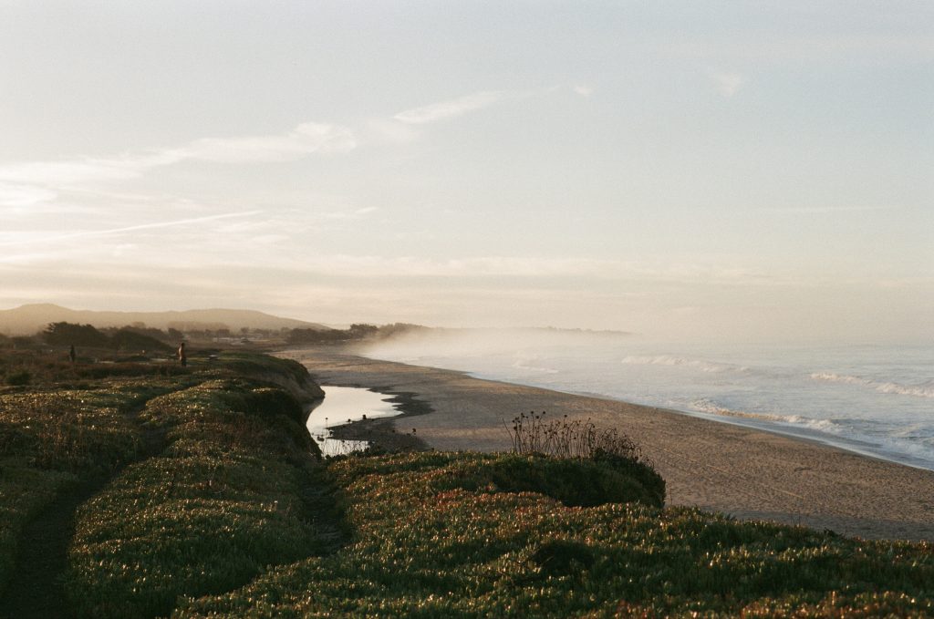 Nikon FE2, 50mm || Half Moon Bay, CA