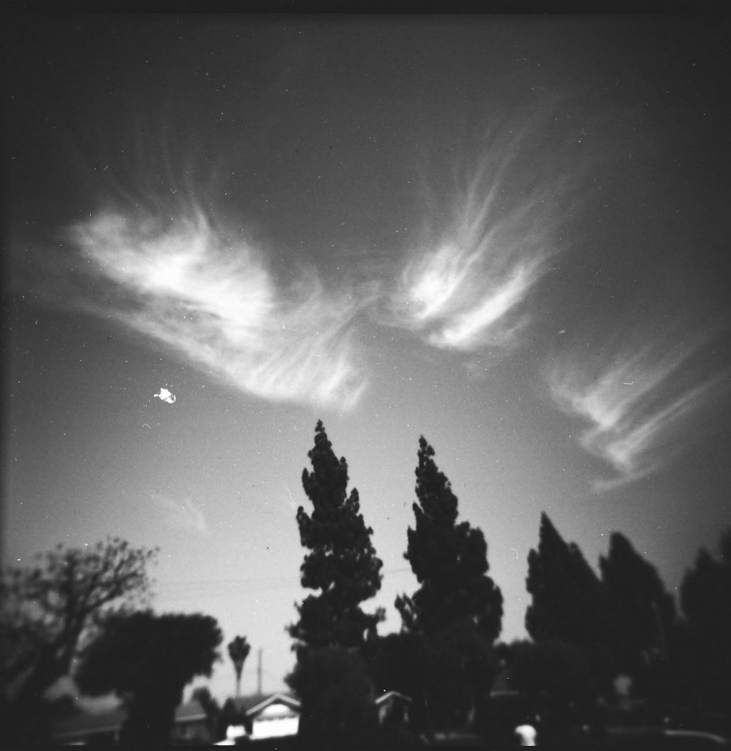 Taken with a Holga 120 GCFN.
