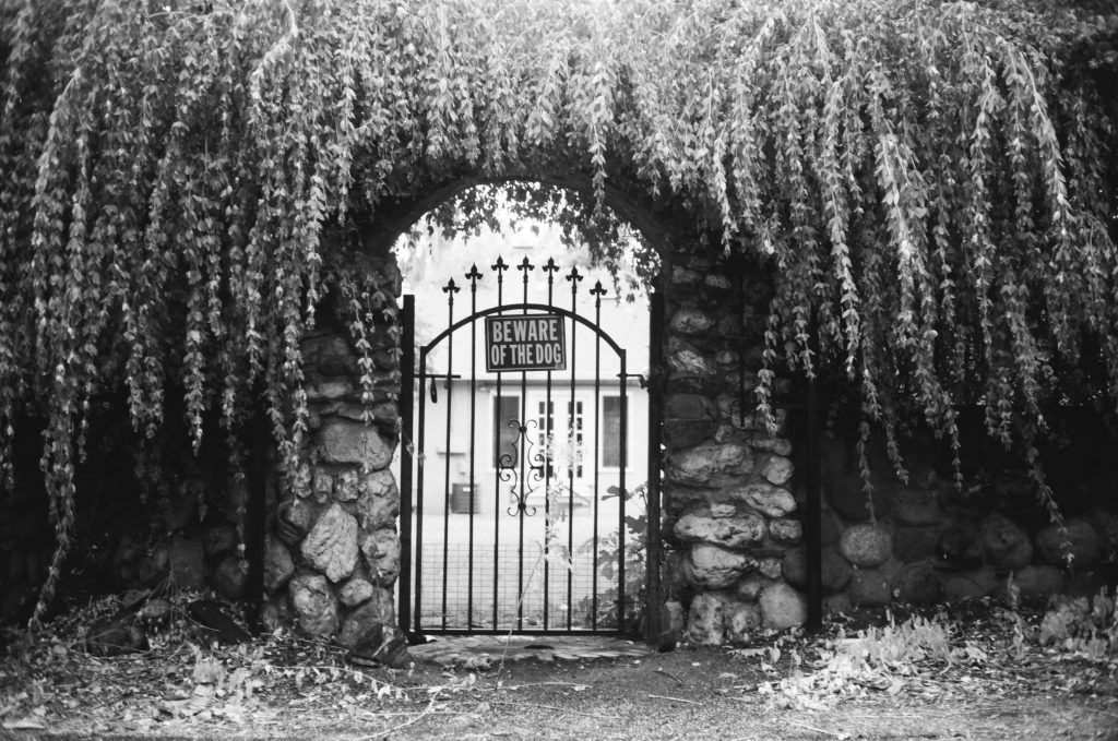 Shot at 100iso and developed normally which is a 2 stop overexposure.