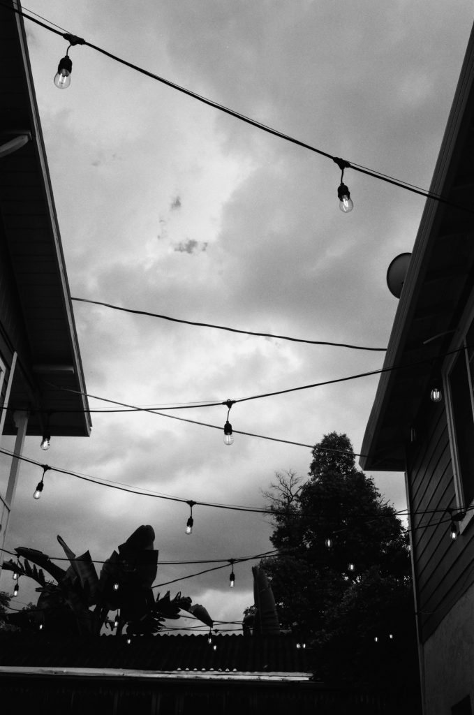 Shot at 100iso and developed normally which is a 2 stop overexposure.