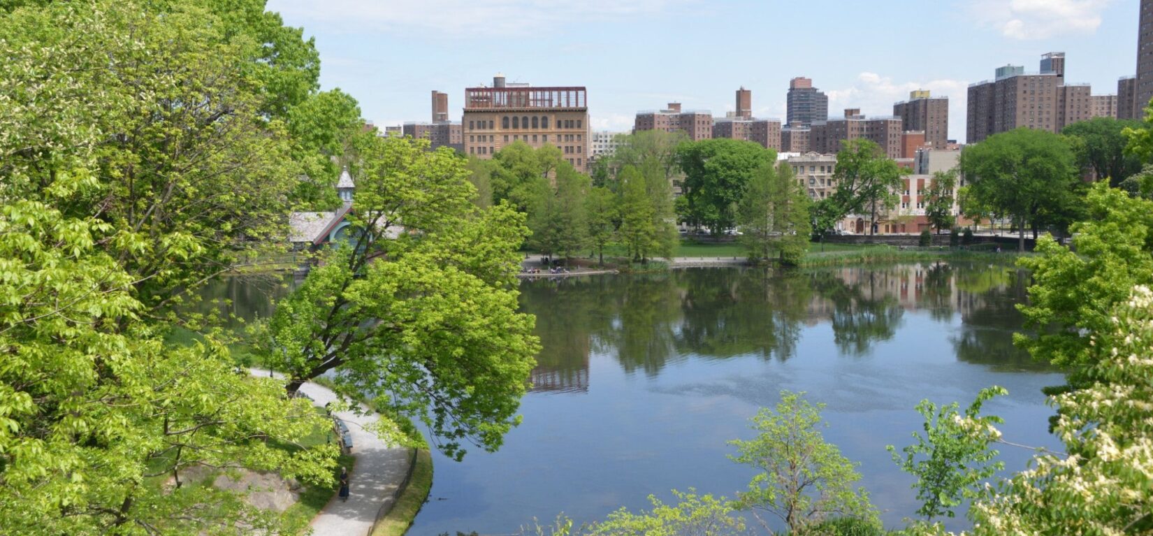 Landscapes Harlem Meer Spring 2016 DSC 5385 001
