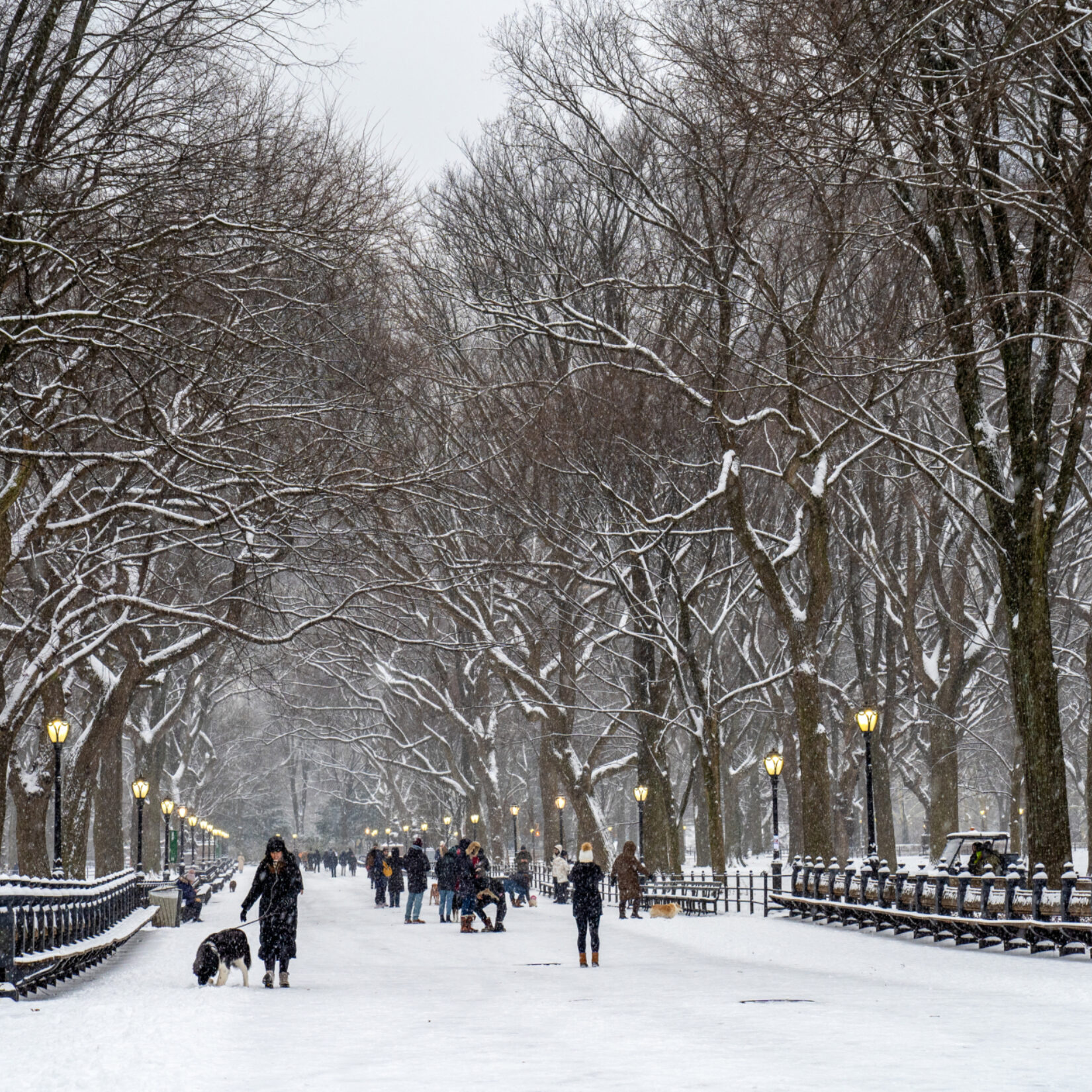 Mall Snow 20240116 07424