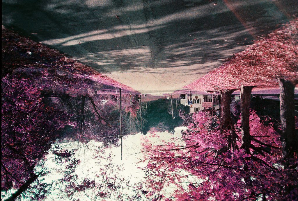 Creeper Trail, White Top, VA Circa Fall 2023 Olympus XA