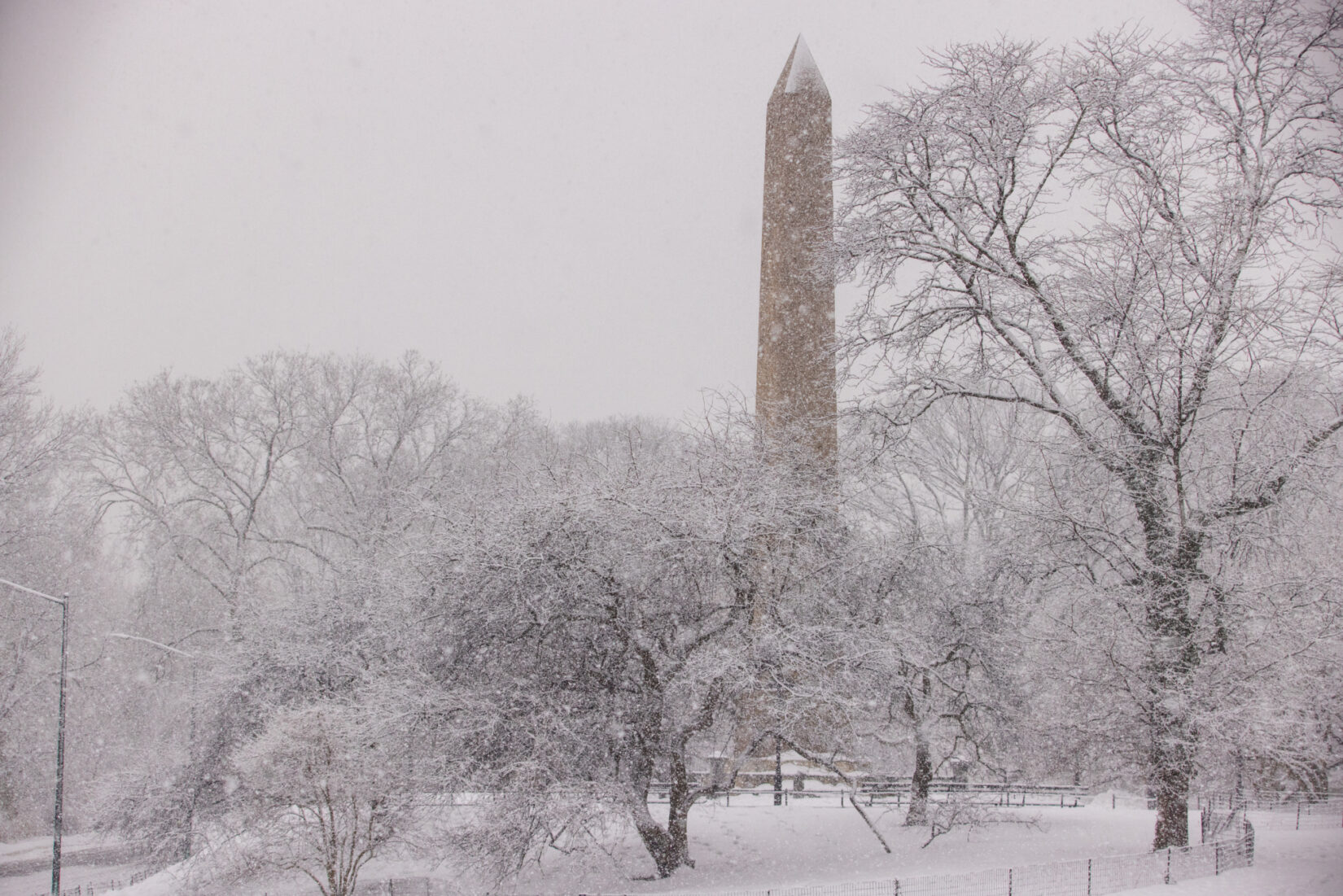 An obelisk dusted with snow at the top, surrounded by snow-covered trees.