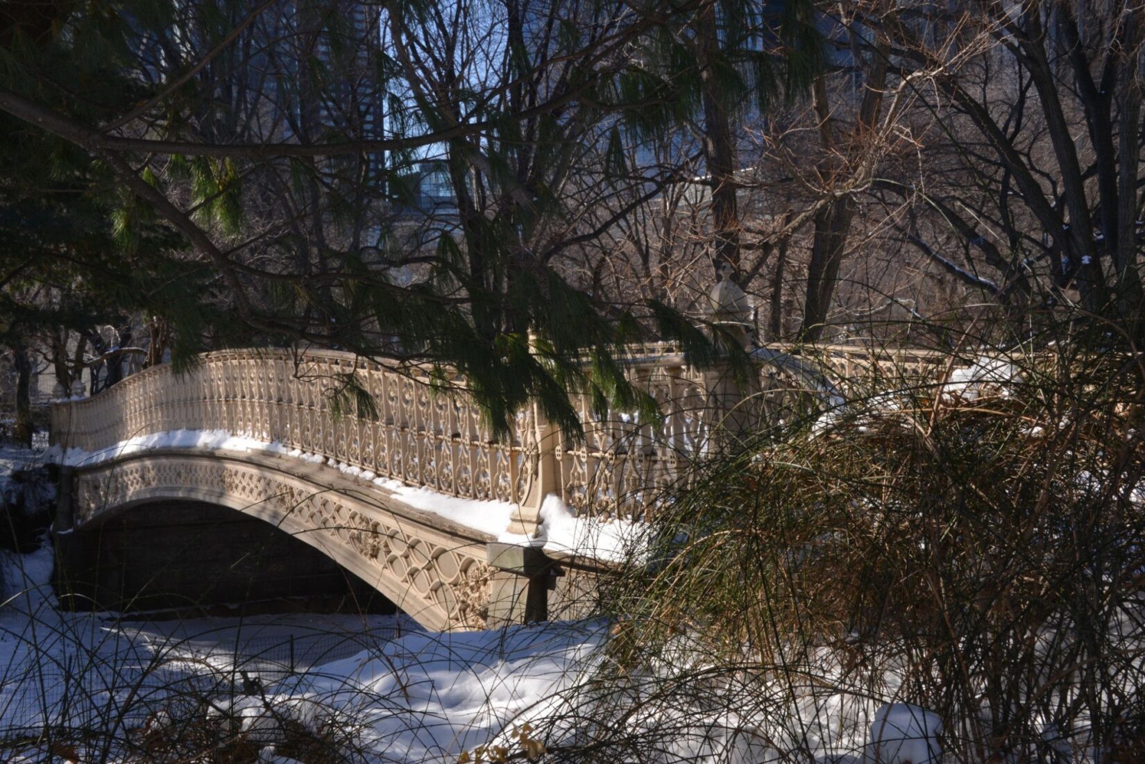 Paulson Winter 2014 6889