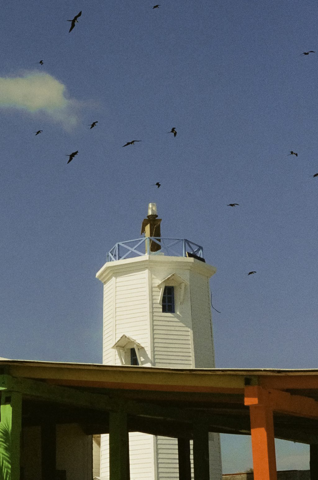 Canon AE-1 Program w/ 50mm 1.8 Lens