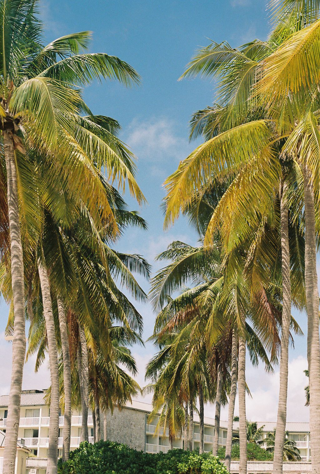 Shot in the Bahamas. Leicaflex SL with 50mm Summicron