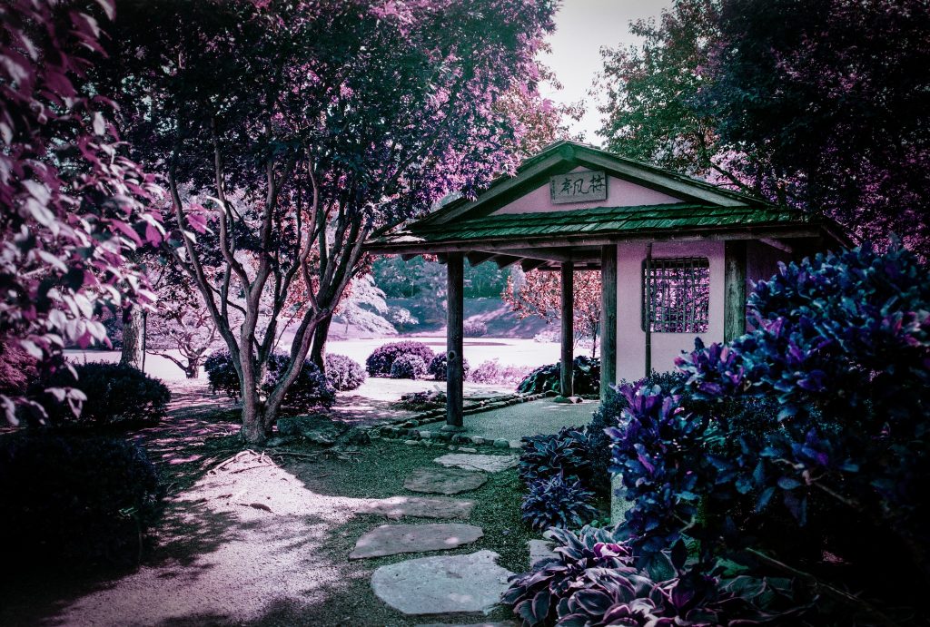 Love the effects that Purple has on greenery with various amounts of green and yellow!