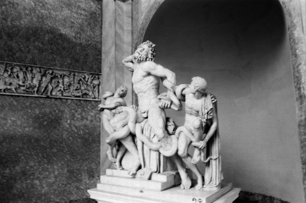 The Vatican Laocoön