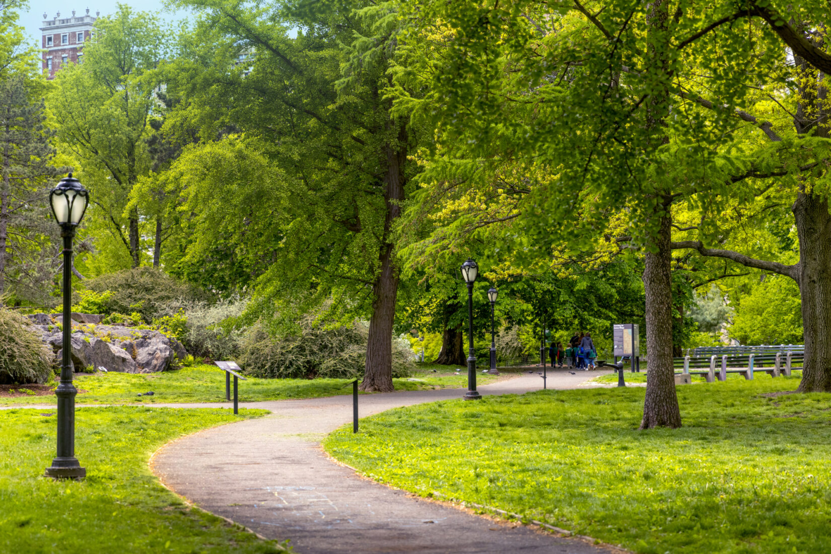 A portion of the Seneca Village site in Central Park today