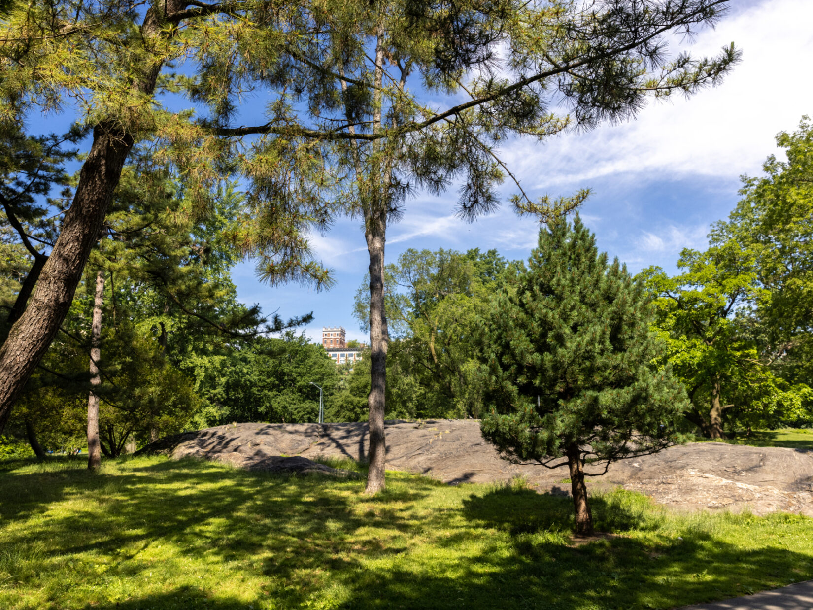 View of the Seneca Village landscape--green trees and grass, a rocky outcrop--with a blue sky strewn with white clouds.
