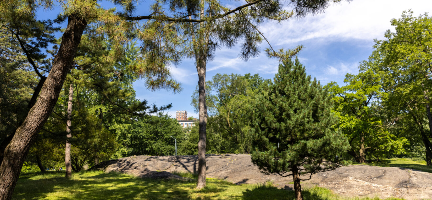View of the Seneca Village landscape--green trees and grass, a rocky outcrop--with a blue sky strewn with white clouds.