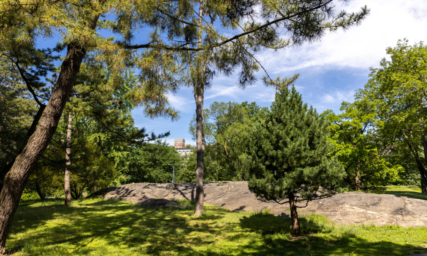 View of the Seneca Village landscape--green trees and grass, a rocky outcrop--with a blue sky strewn with white clouds.