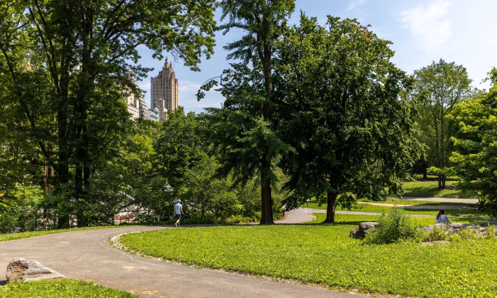 A photo of a winding path through a park, surrounded by green grass and tall trees.