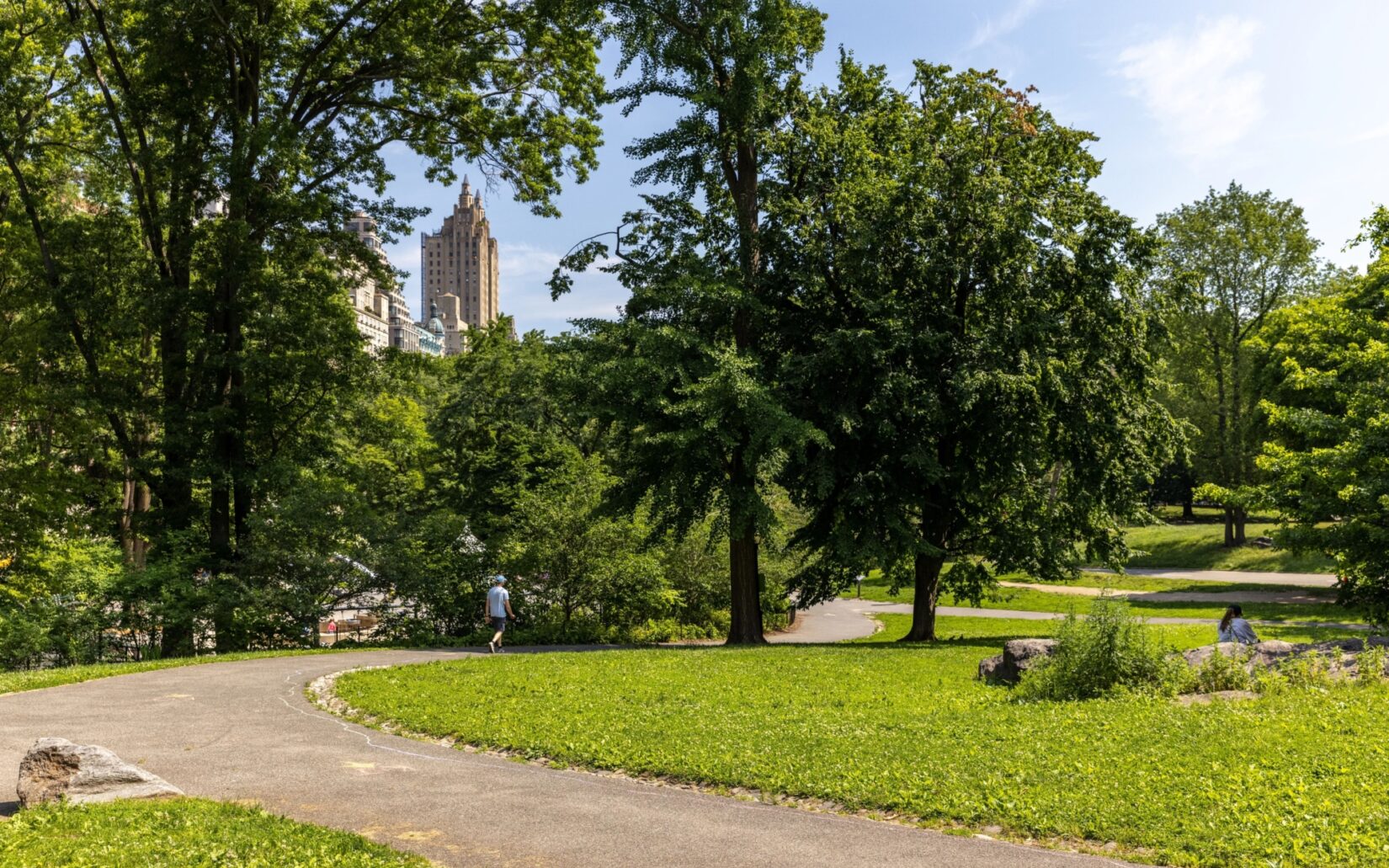 A photo of a winding path through a park, surrounded by green grass and tall trees.
