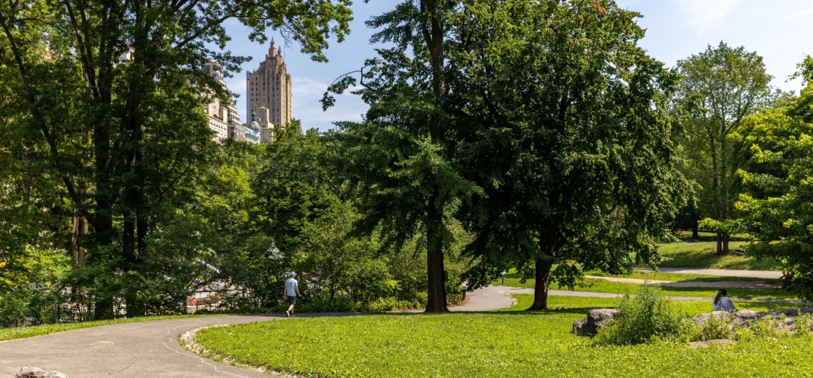 A photo of a winding path through a park, surrounded by green grass and tall trees.