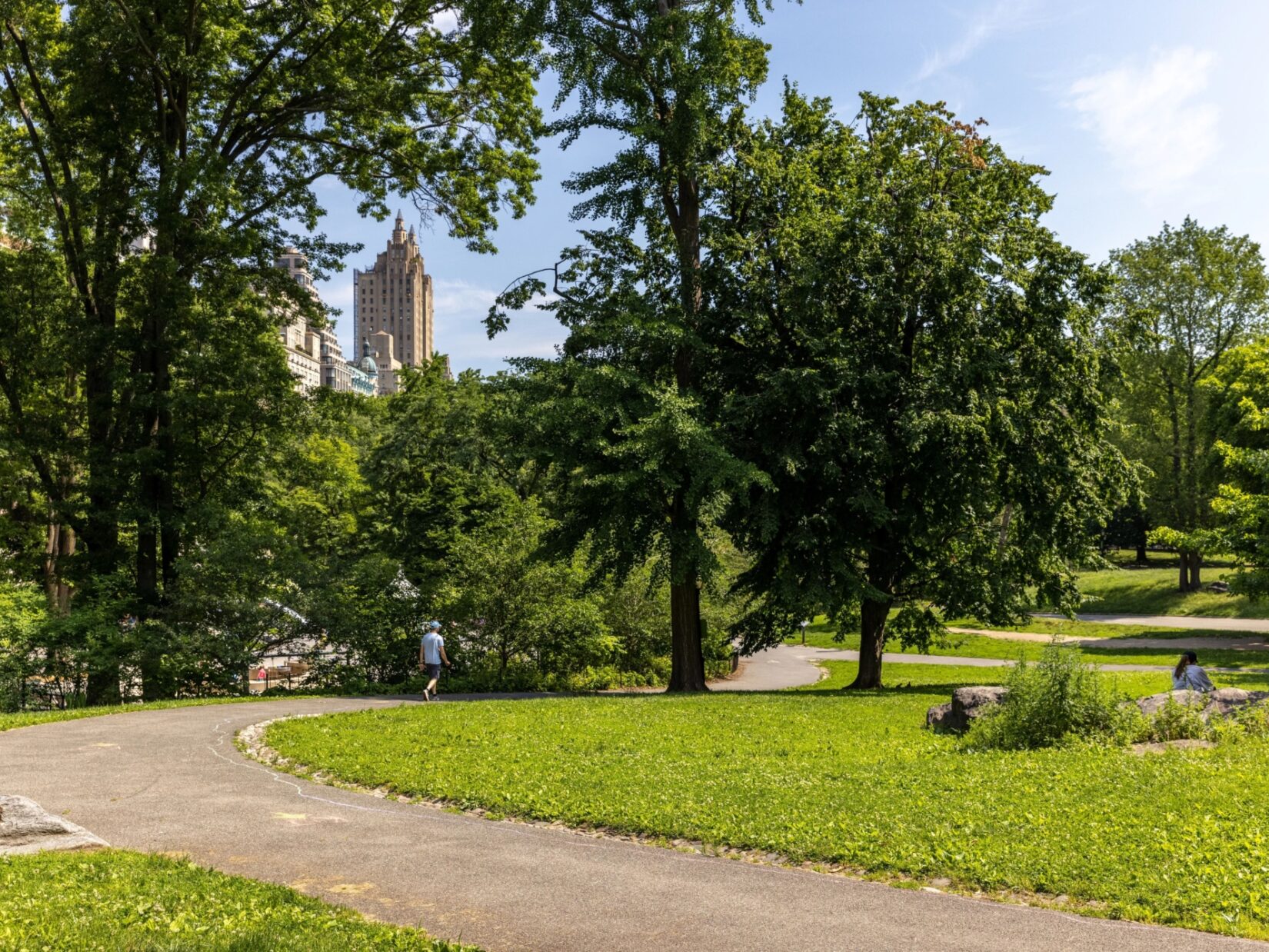 A photo of a winding path through a park, surrounded by green grass and tall trees.