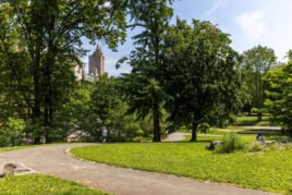 A photo of a winding path through a park, surrounded by green grass and tall trees.