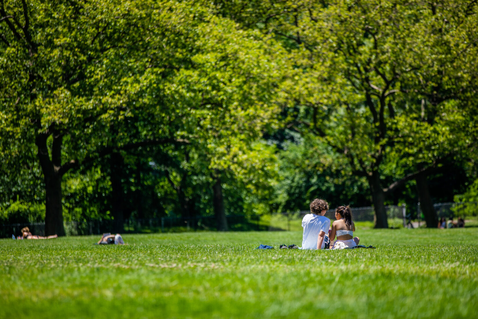 Two people sit in a grassy, sunny area with trees in the background.