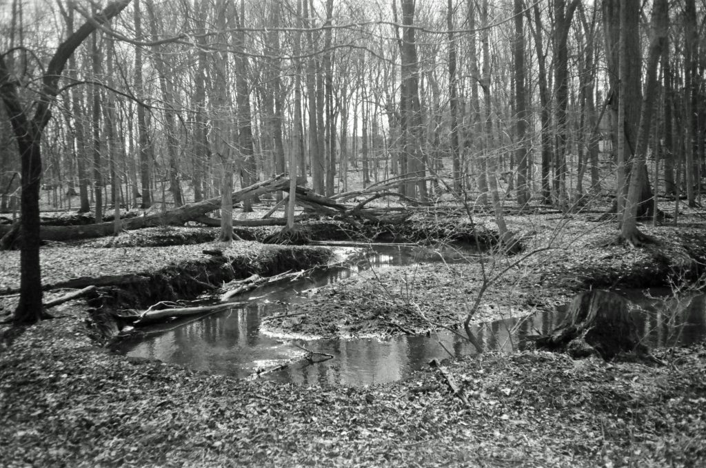 Stage Nature Center Troy Michigan