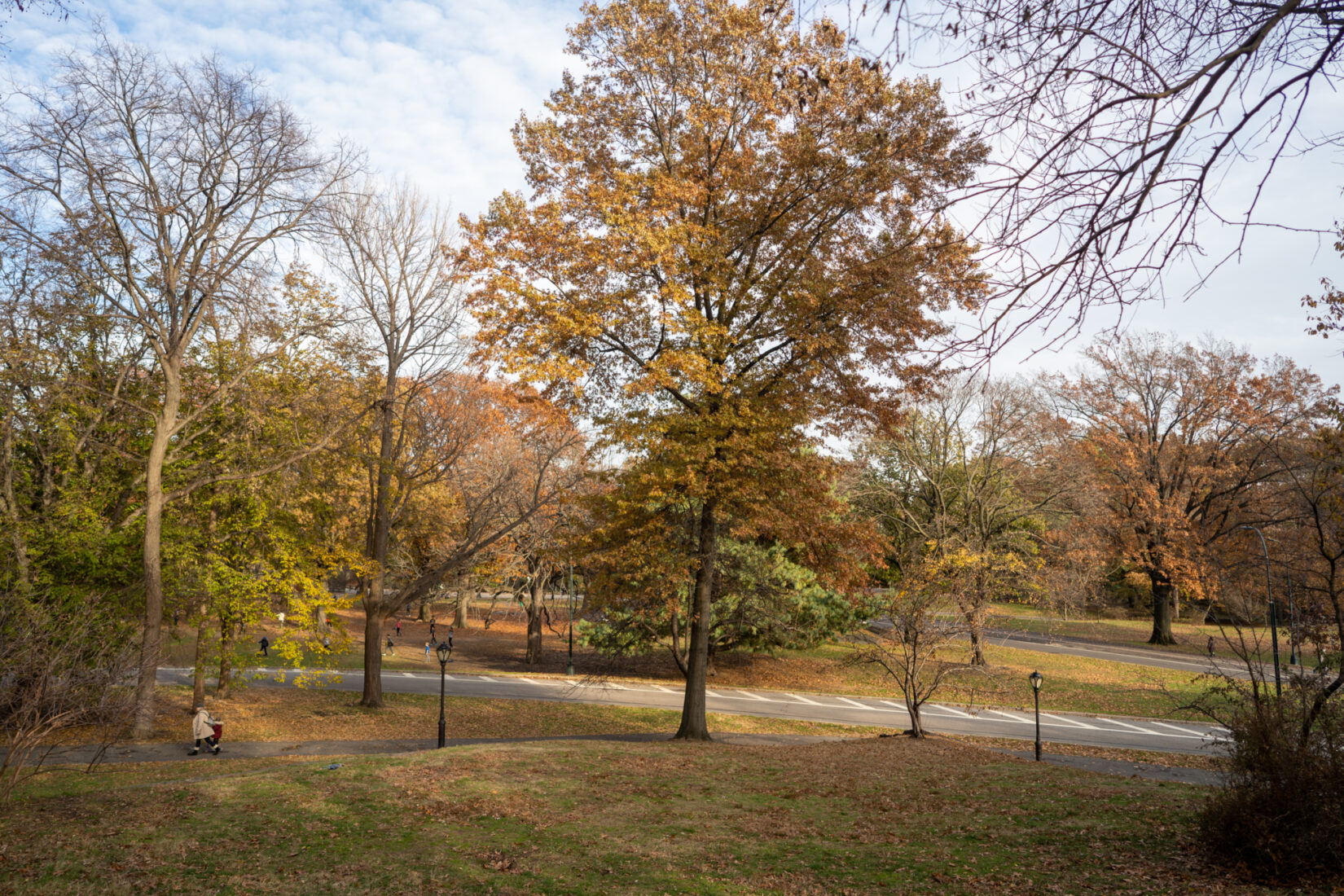 The view from Summit Rock looking down on a park path and an autumnal landscape