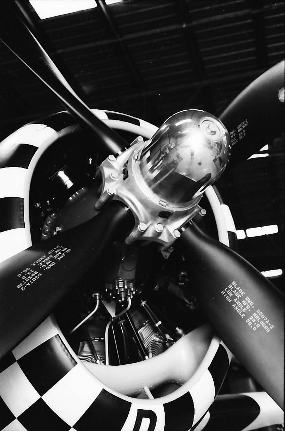 Taken with Olympus OM-2.