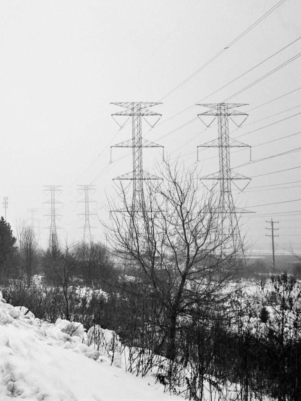 Image shot with Nikon OneTouch 35mm f/2.8 point and shoot