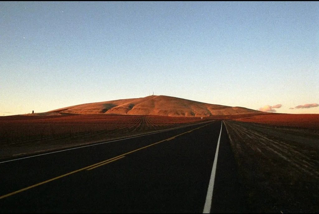 twilight - pentax k1000 and fujifilm 200