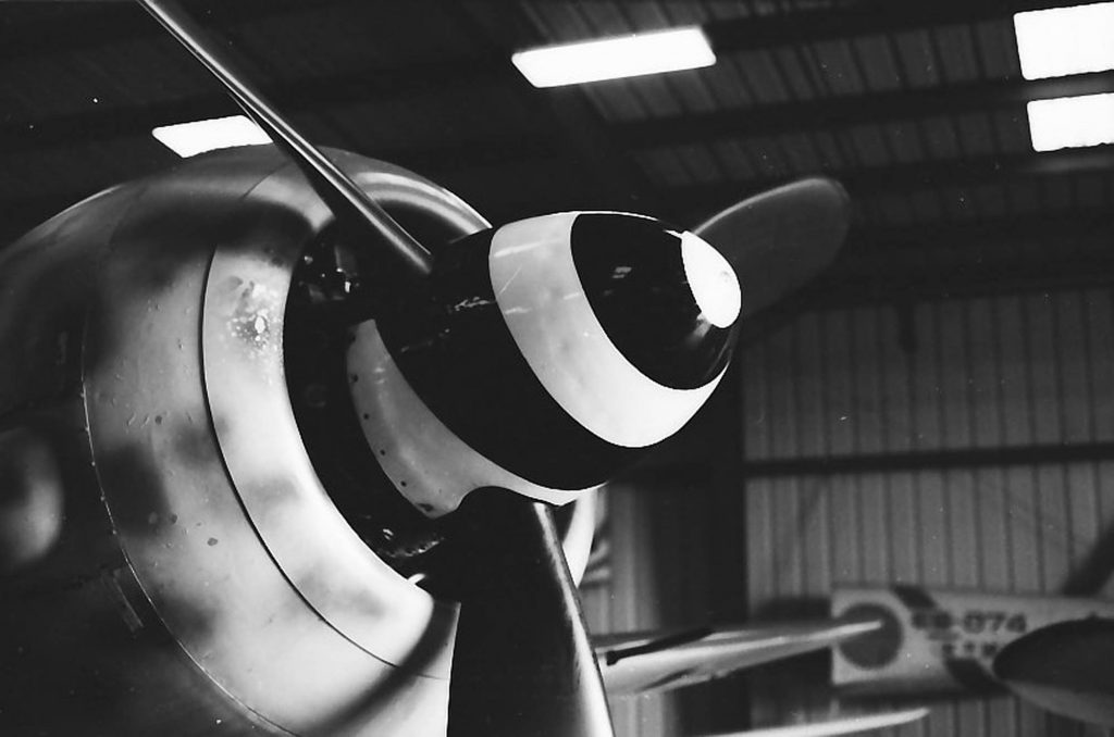 Taken with Olympus OM-2.