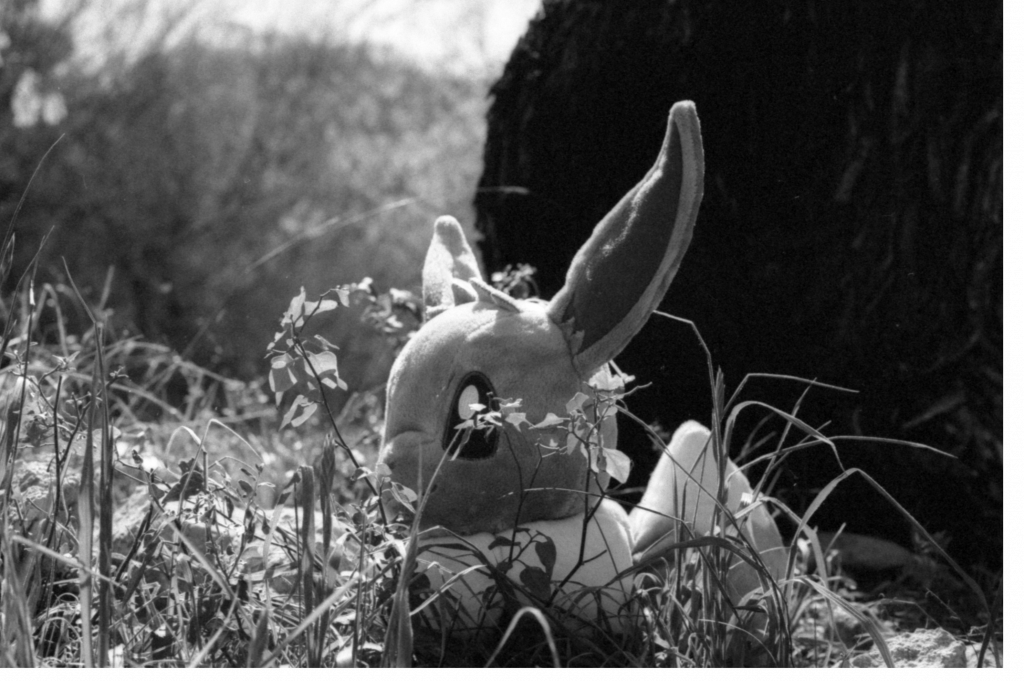 A wild Eevee Canon EOS Elan II w/ 50mm f/1.8 STM