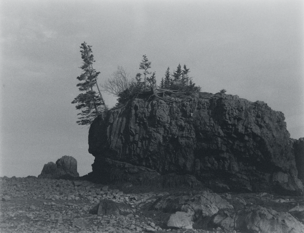 Mamiya 645 / Caffenol